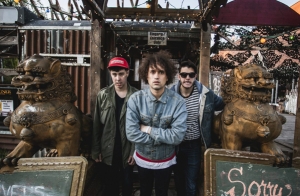 The Parrots Sala El Sol Madrid