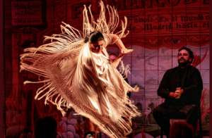 Entradas Flamenco de los Leones