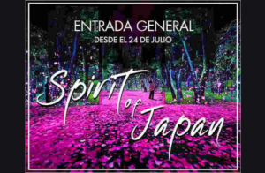 Entradas Nomad Museo Inmersivo - Spirit of Japan