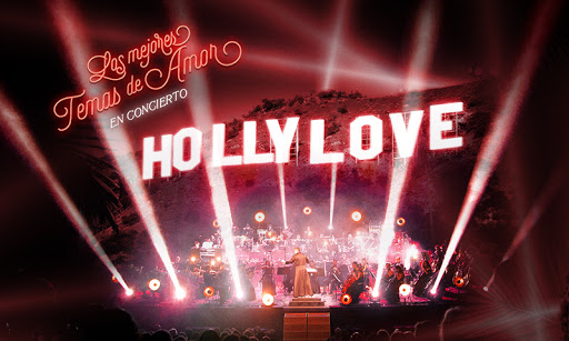 FSO Hollylove