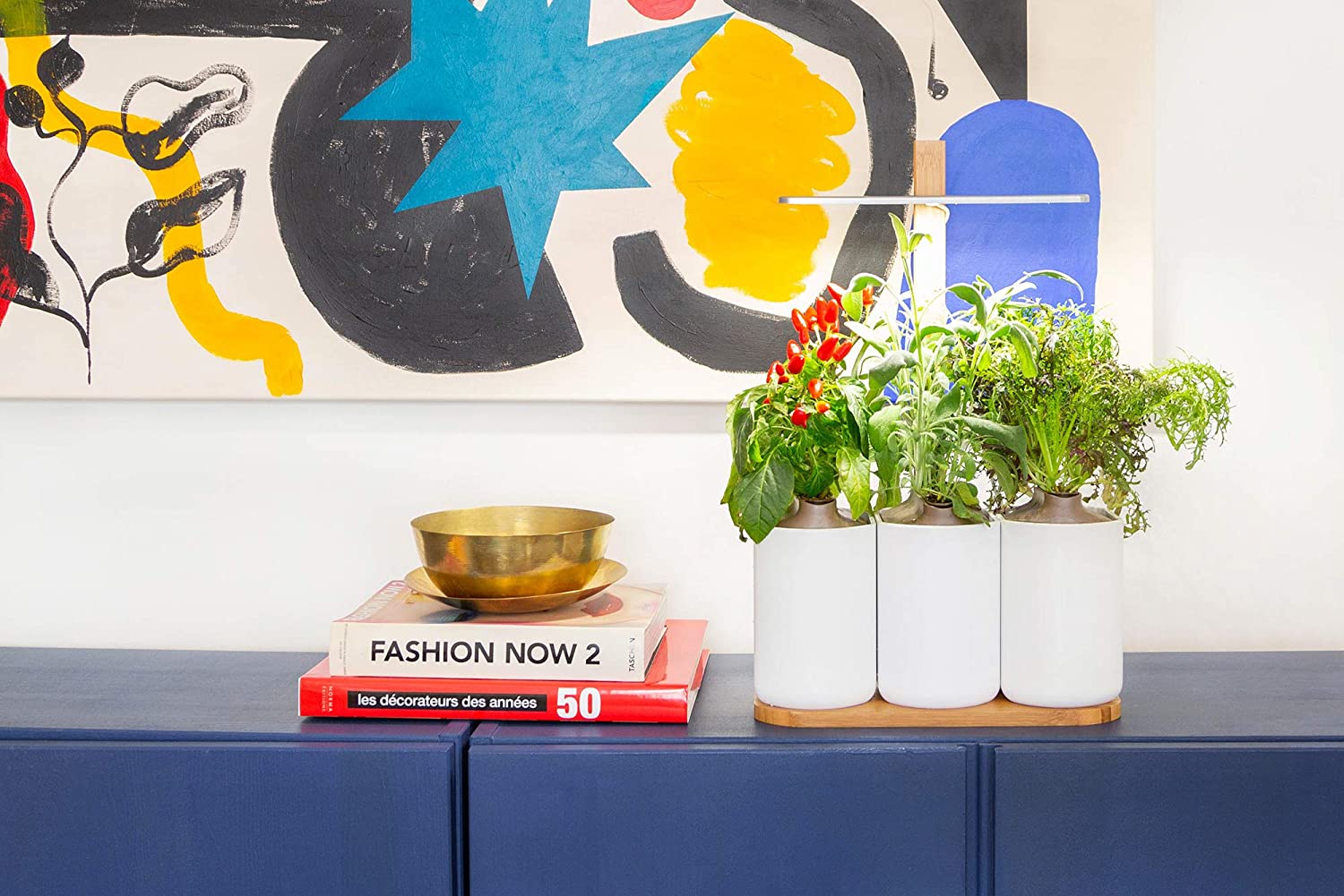 Lilo, el huerto urbano 