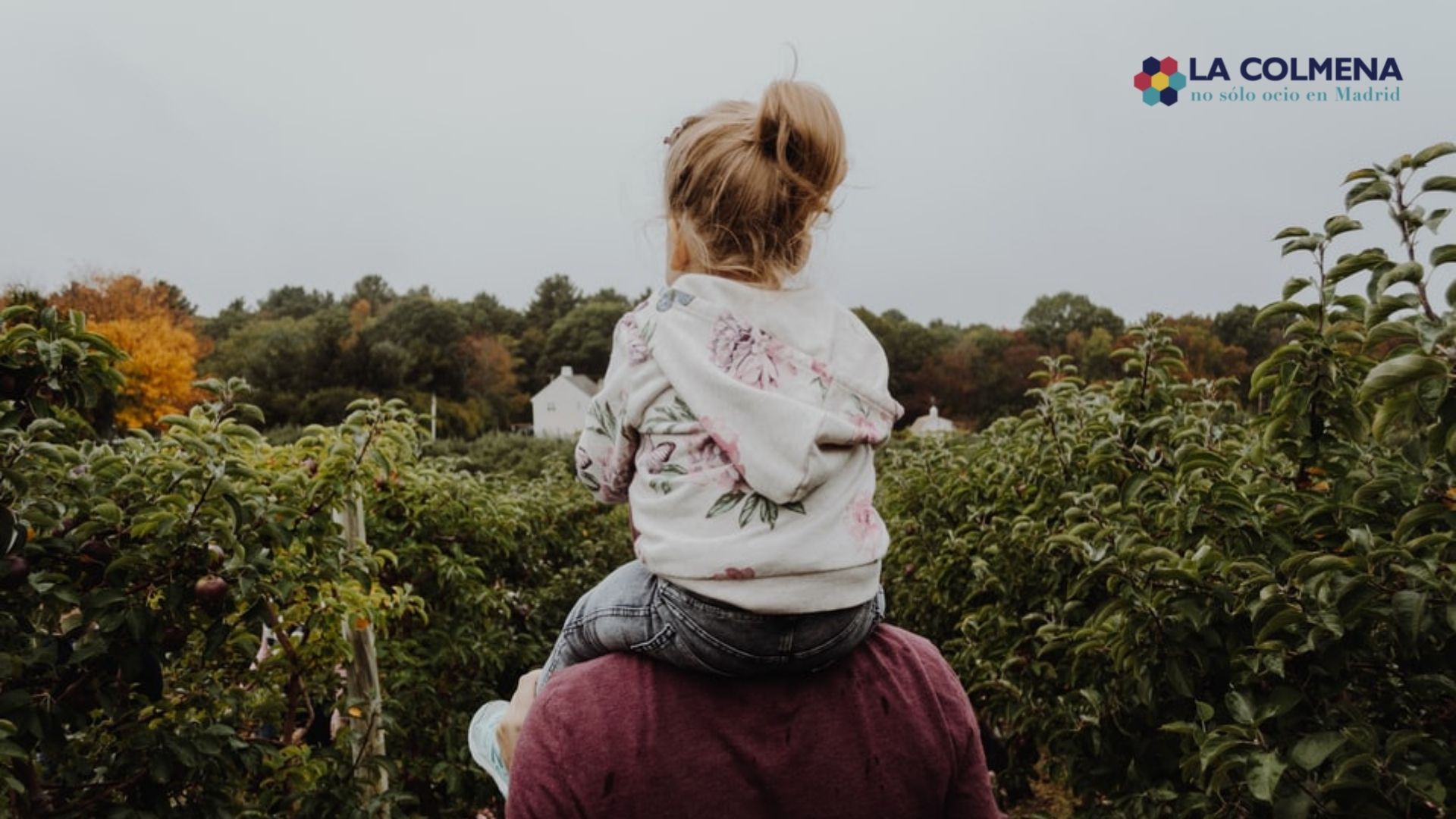 Padre con su hija a hombros en un parque