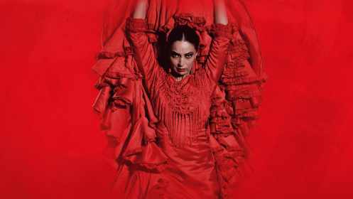 Emociones, Espectáculo Flamenco