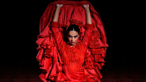 Emociones, Espectáculo Flamenco