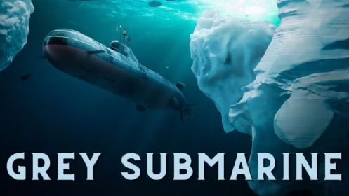 Grey Submarine: experiencia para 2 a 5 personas