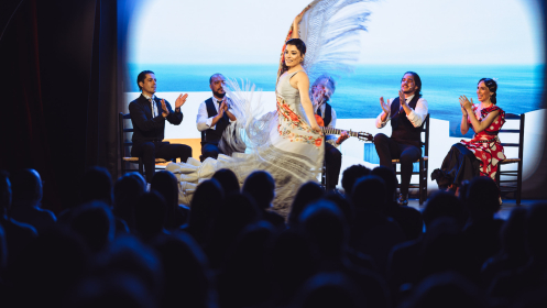 Inspiración, Espectáculo Flamenco