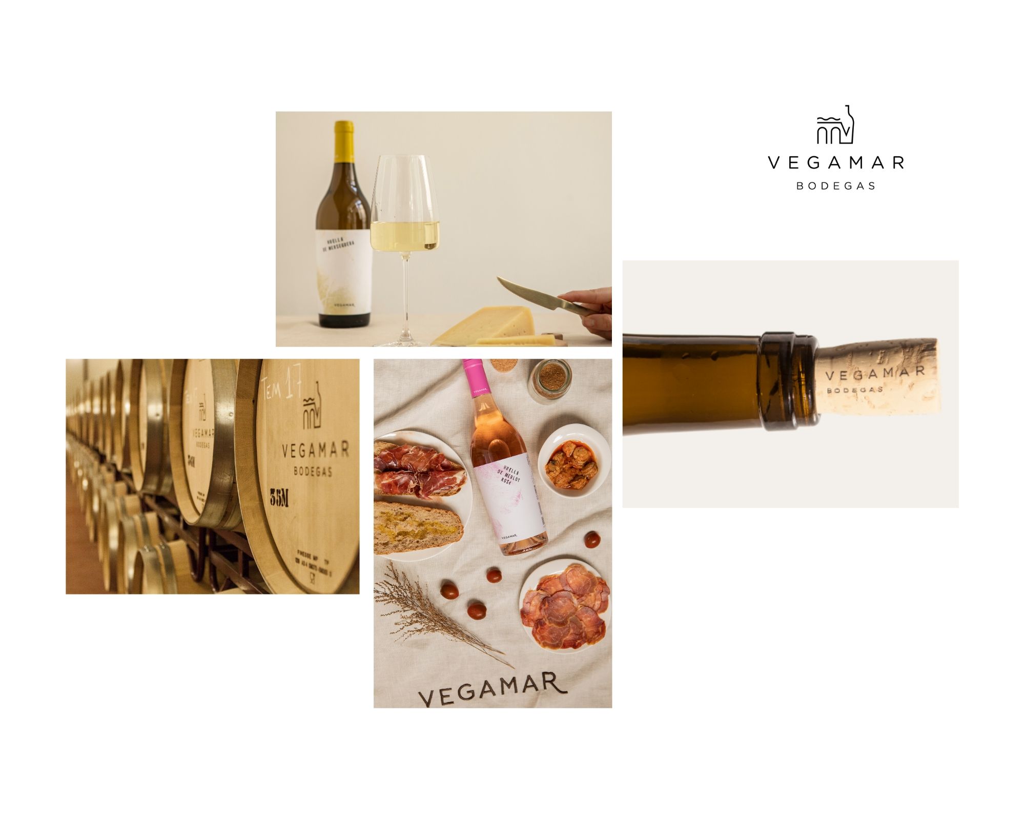 vegamar1